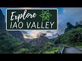 Iao Valley State Park: Best Easy Family Day Hike On Maui - Explore The Lush Iao Valley With Us!