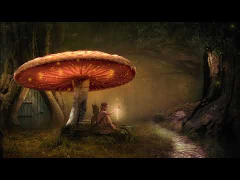 BURN IN NOISE vs DESERT DWELLERS -  The Sentient Fungi