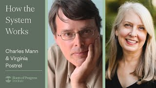 How the System Works