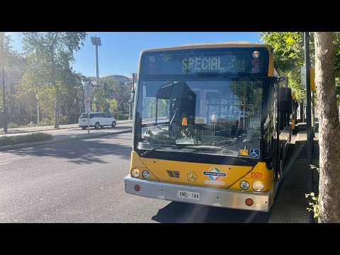 (No Lockup ZF) Torrens Transit Mercedes Benz O405NH #1320