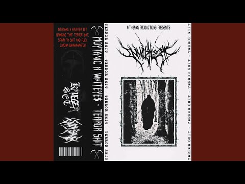 Terror Shit (feat. Moytanic)