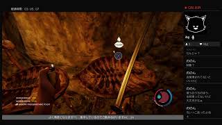 【PS４　FOREST】びびり無音プレイ!　でも、応援お願いしますm(__)m