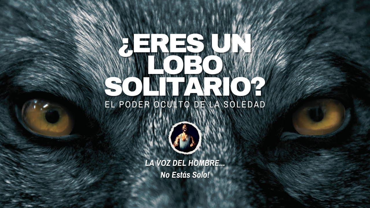 Lobo Solitario: cómo la soledad puede hacerte más fuerte.