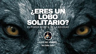 Lobo Solitario: cómo la soledad puede hacerte más fuerte.
