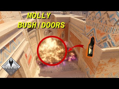 CS2 Anubis - Mid Doors Molotov