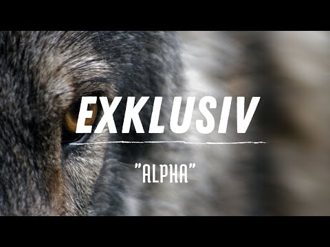 (Exklusiv) Kollegah Type x Chor Beat - "Alpha" prod. Kid Patron