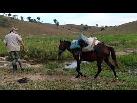 Seu Vicente em busca de água / CANHOTINHO / PE