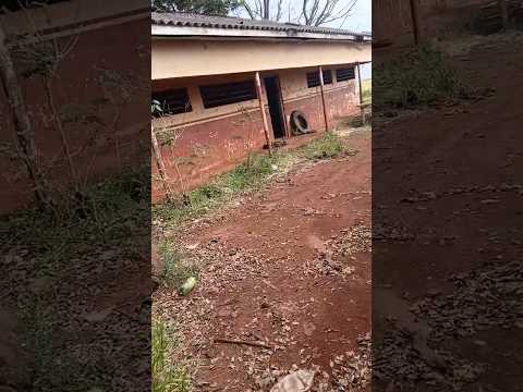 Escola abandonada em Santa Cecília do Pavão