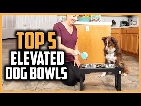 YouTube video about: How to keep baby out of dog bowl?