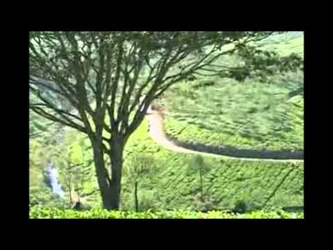 Poster hawa mein udta jaye mora lyrics – lata mangeshkar