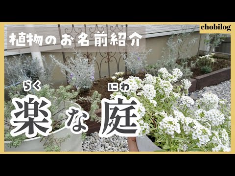 観賞用の草や顕花植物を使った最も美しいコンテナ植栽 ガーデンデザイン