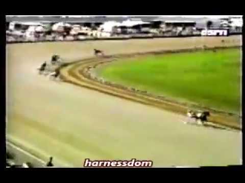 1996 Delaware County Fair SHE'S A GREAT LADY World Record John Campbell