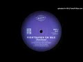 NIGHTMARES ON WAX - DEXTROUS