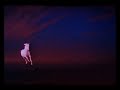 Opening To Birdy 2002 VHS