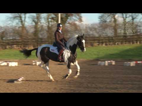 Andrew Hoy Masterclass in Minutes - Single Pole