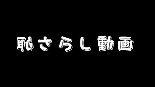 【ロケットリーグ】下半期.mp4