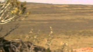 Andy&#39;s Wyoming Hunt2011