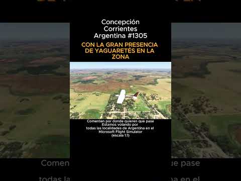 Concepción, Corrientes desde el Microsoft Flight Simulator #concepcion #corrientes #msfs #argentina