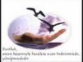 Can Dostum (www.kankiforum.com) Burda Herşey ...