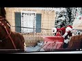 Deck The Halls Top Ten Countdown Radio Show From Sesame Street Kids Favorite Songs
