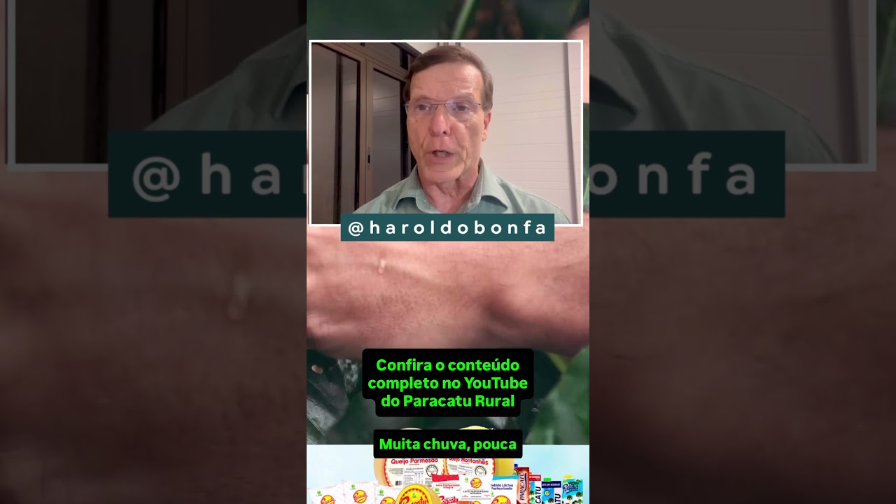 Mercado de Café: O Que Derrubou Nova York? Entenda a Reviravolta com Haroldo Bonfá