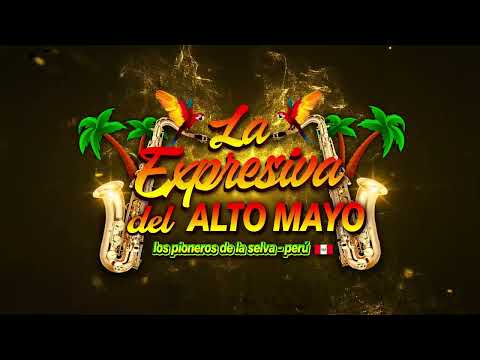 WhatsApp Video 2023 12 24 at 12 04 18 PM