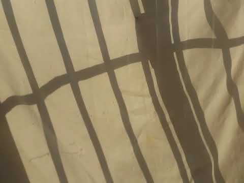 ‘ Autumn Breeze ‘ 2018, Cutar, Spain. Music - Closing by Phillip Glass