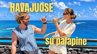 PIRMĄ DIENĄ HAVAJUOSE VIRŠIJOM VISĄ BIUDŽETĄ