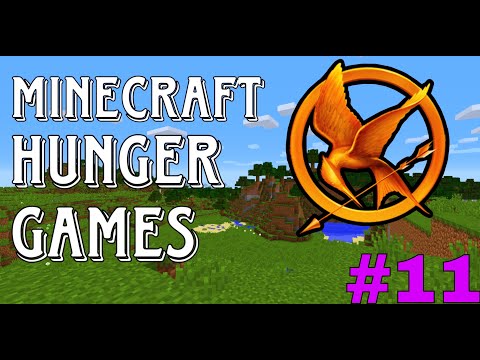 Minecraft HUNGER GAMES - SOLO HIVE KING?! w/ Lewis & Codz #11