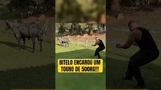 BITELO VS TOURO DE 500KG! O DESAFIO QUE NEM O DORÃO STRONGMAN DA GROWTH CONSEGUIU VENCER!