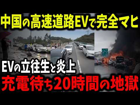 電気自動車:心理学者が電気自動車に対する憎悪を説明する