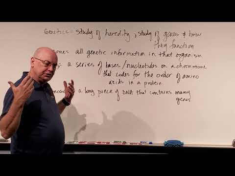 Micro Chapter 8:  DNA Basics and Definitions