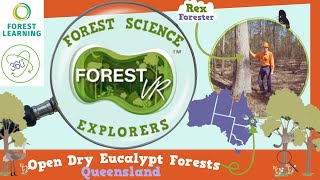 ForestVR - Forest Science Explorers: Open Dry Eucalypt Forests -- 4K