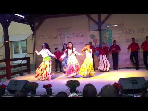 Romii din ceuasu de campie 2015