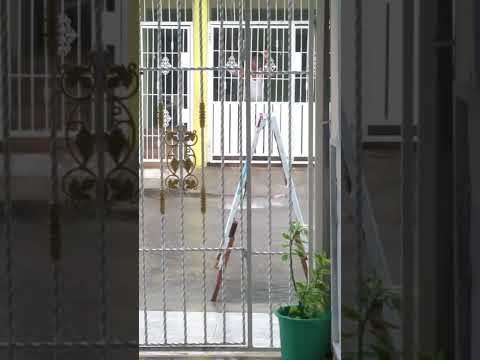 la curiosidad mató al gato, pero a éste no. jajaja