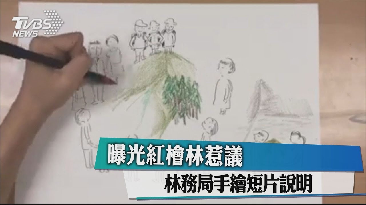 曝光紅檜林惹議 林務局手繪短片說明