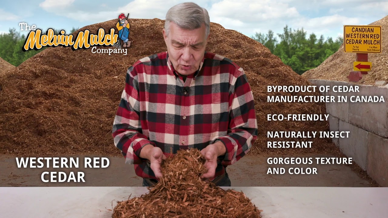 Melvin Mulch Western Red Cedar