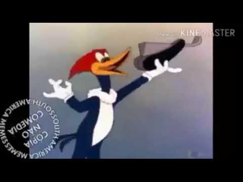 ACÚSTICO Vs TRAP Froid vs Lil Raff SOUTH AMÉRICA MEMES