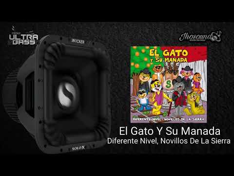 El Gato Y Su Manada (Epicenter) - Diferente Nivel × Novillos De La Sierra