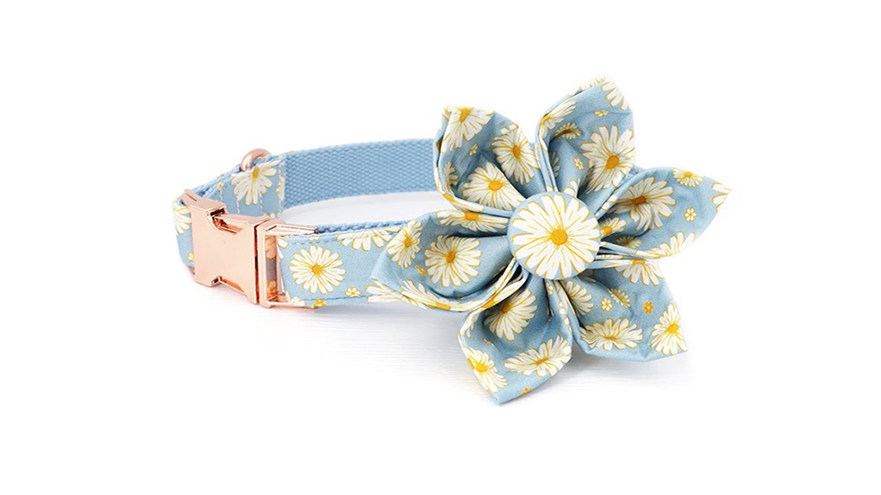Daisy Blue - Girly Flower Dog Collar Pawtyhood Personalize Dog Collar Cute Collar Bow Tie Collar