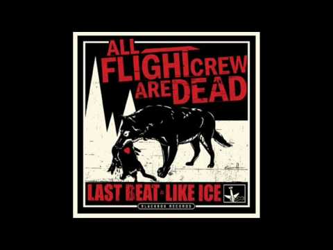 ALL FLIGHT CREW ARE DEAD - Last Beat