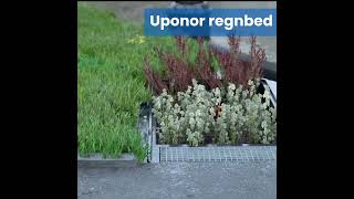 Stormwise animasjon - Regnbed