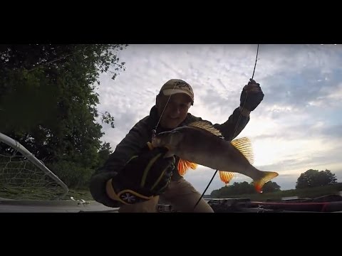 Predator fishing diary #4 Summer Holiday 2015