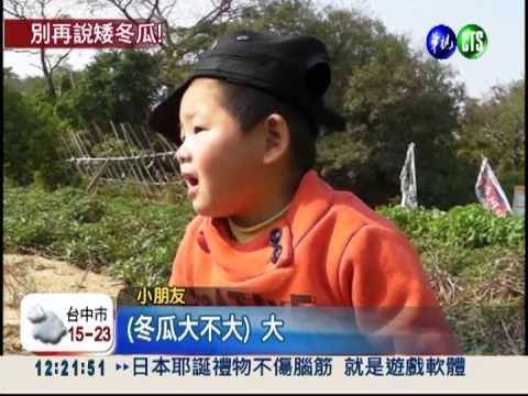 大到吃不完! 巨無霸冬瓜高如童