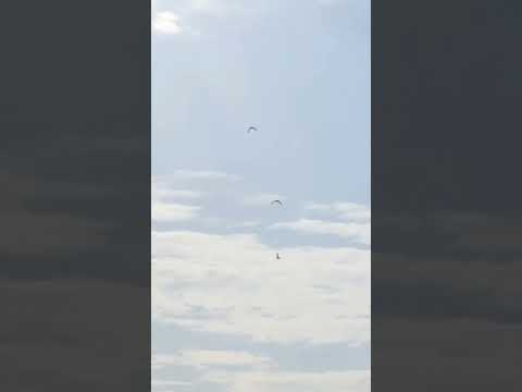 #picnic#nasheeda#beach#waves#Maldives#🌊☀️🏝🩵💙