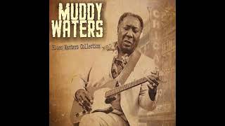 Tom Cat - Muddy Waters