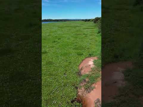 barragem de Urussanga povoado próximo de Angical Bahia vamos voar de drone