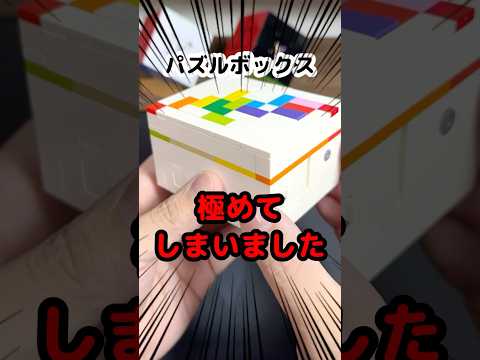 【極めてしまいました】パズルボックス完全攻略！ペラペラの３もありました #pazzlebox #yamicubestore