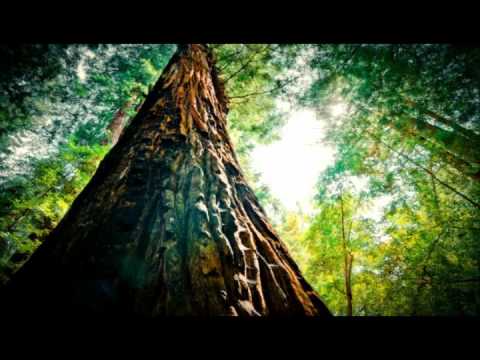 Страхотен ден - Сборна формация