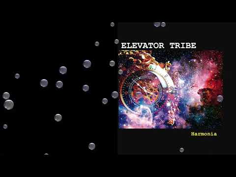 Harmonia by ELEVATOR TRIBE music video